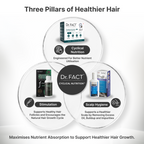 Male Foundation: Clinical Max Hair Growth Kit