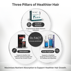 Male Foundation: Clinical Hair Growth Kit