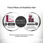Female Foundation: Essential Hair Care Kit